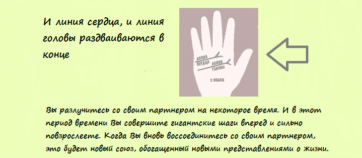 Что означает раздваивающаяся линия жизни. Линия сердца разветвляется на конце. Линия сердца раздваивается на конце. Линия сердца на руке раздваивается. Раздвоение линии сердца в конце.