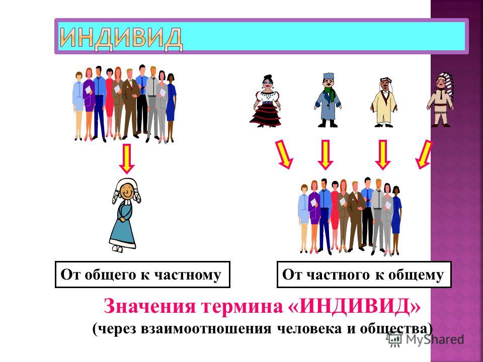 Социальный индивид человек и общество