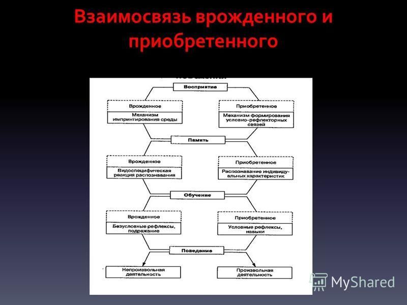 Приобретенные качества