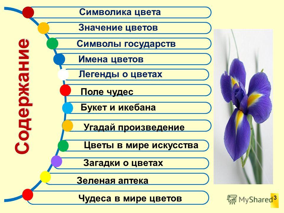 Цветы значение цветов с фото и названиями
