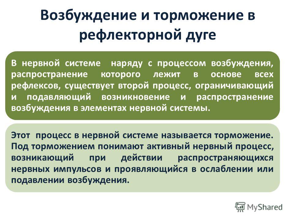 Меры возбуждения. Возбуждение и торможение в нервной системе. Соотношение процессов возбуждения и торможения. Процесс возбуждения и торможения в нервной системе. Взаимосвязь процессов возбуждения и торможения.