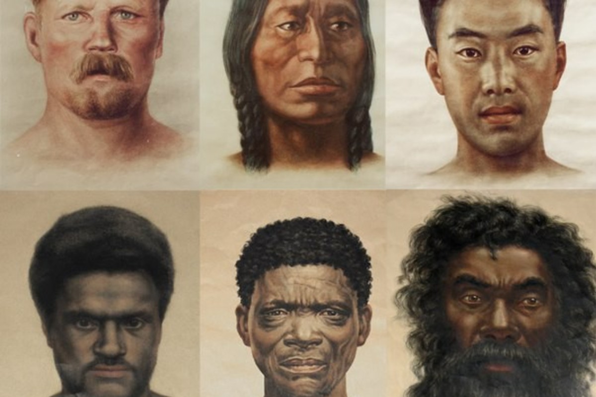 Эволюция человеческой расы. Расы людей. Расы и народы. Этнические портреты разных народов. 4 Расы человечества.