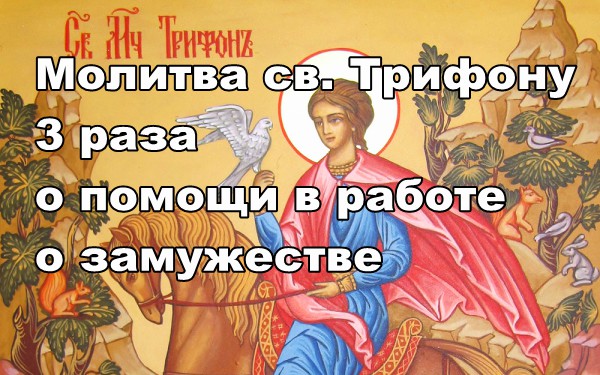 Молитва трифону. Молитва святому Трифону. Молитва Трифону преподобному. Молитва св Трифону. Молитва Трифону о работе.