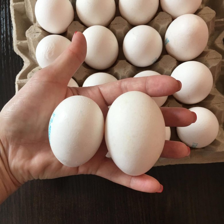 Яйца кучей. Яйцо куриное. Крупные куриные яйца. Домашние яйца. Яйцо домашнее куриное.