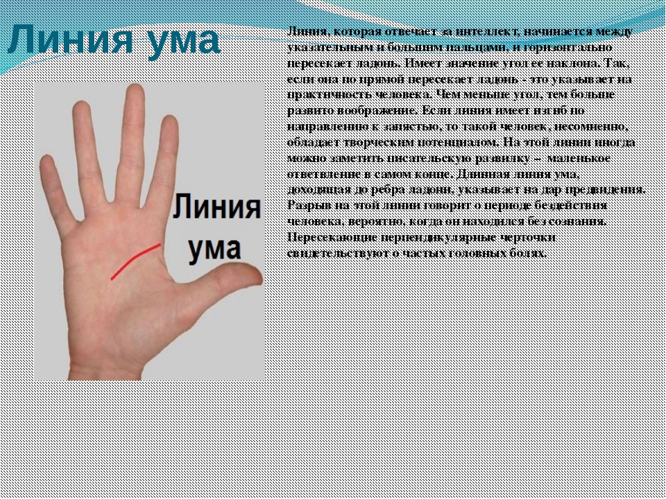 Что значит на руки. Линия ума. Линия ума на руке. Линия ума на ладони. Линия ума головы на ладони.