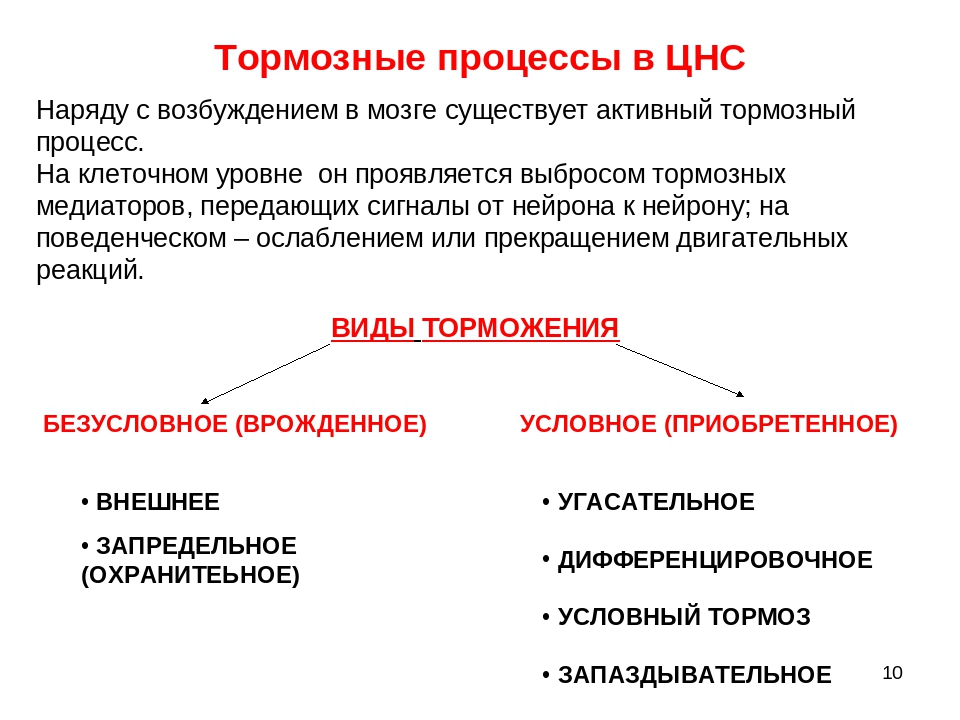 Типы возбуждения. Процесс возбуждения и торможения в нервной системе. Тормозные медиаторы ЦНС физиология. Механизмы торможения и возбуждения в ЦНС. Возбуждение и торможение в ЦНС кратко.