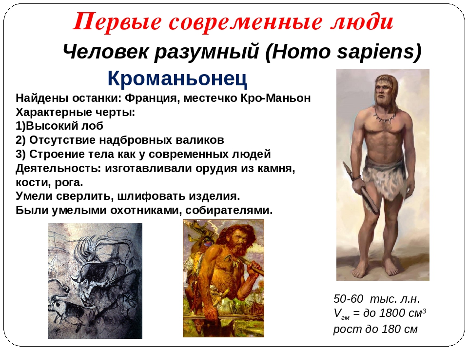 Название современного человека. Кроманьонец ( homo sapiens). Кроманьонец неандерталец сапиенс сапиенс. Современный человек характеристика.