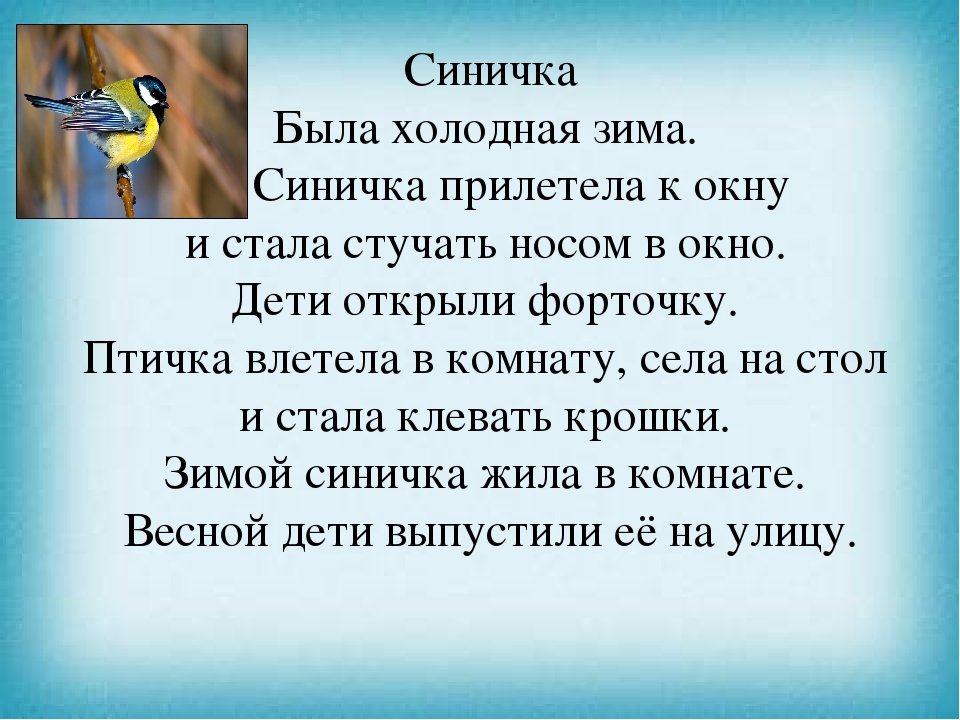 К чему залетает синица в дом. К окну приле.ела синичка.. Синичка прилетела к окну. Синица прилетела к окошку. Была холодная зима, прилетела синичка.