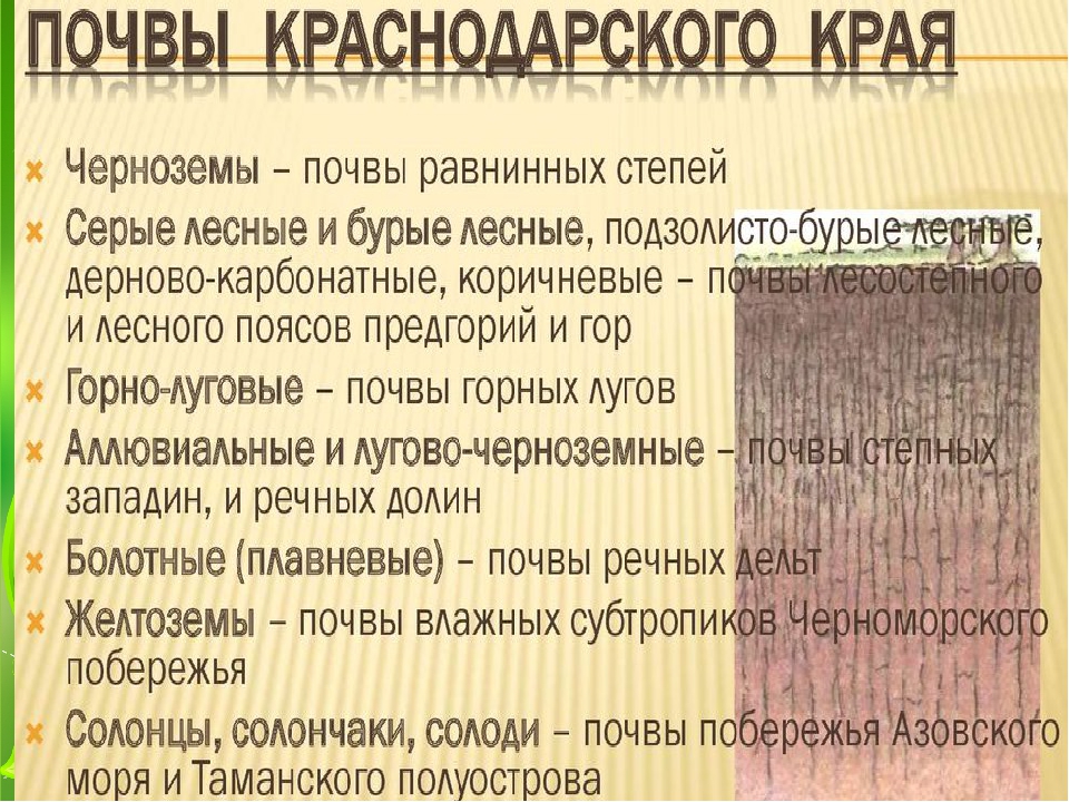 Основные сведения о почвах краснодарского края