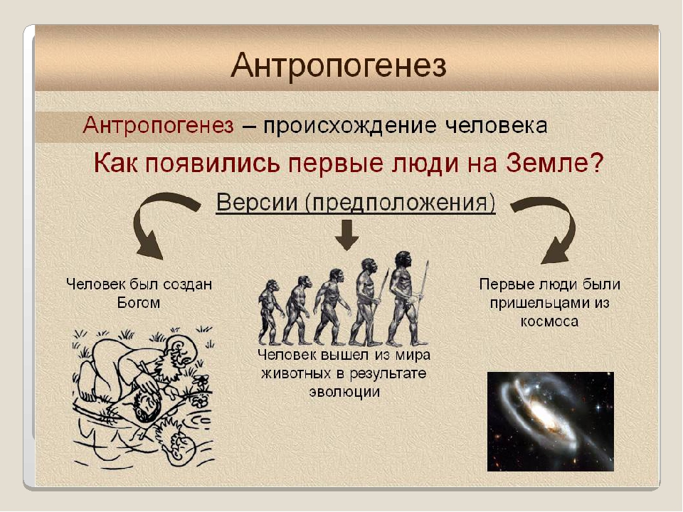 Формирование человека происходит. Антропогенез. Антропогенез человека. Происхождение человека Антропогенез. Эволюция человека Антропогенез.