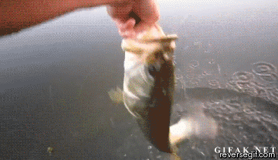 Ловля рыбы руками