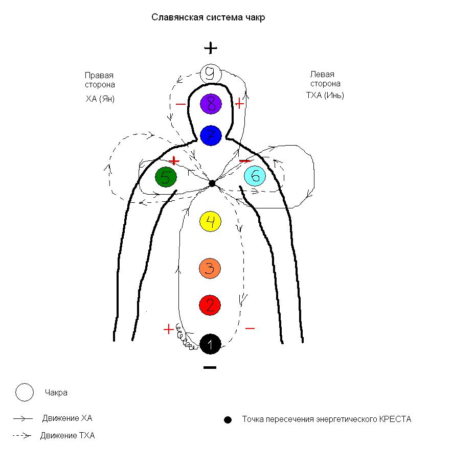 Энергия человека схема. Чакровая система схема. Славяно-Арийская система чакр. Схема славянских чакр. Славянская чакровая система человека.
