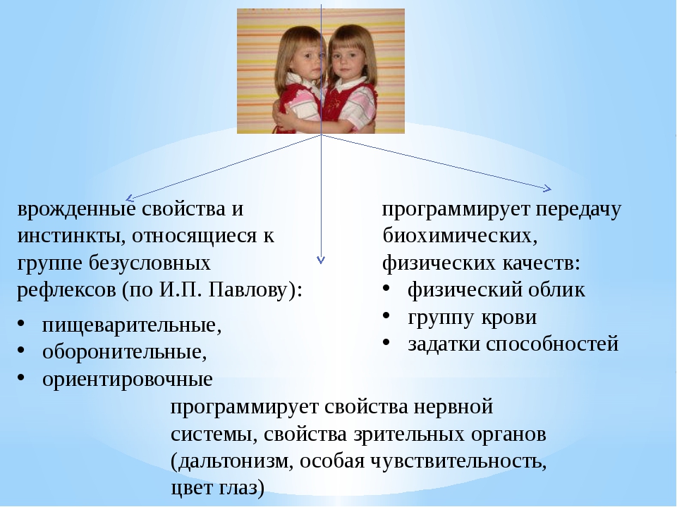 Приобретенные качества. Врожденные качества личности. Врожденные характеристики личности. Врожденные свойства человека. Врожденные инстинкты человека.