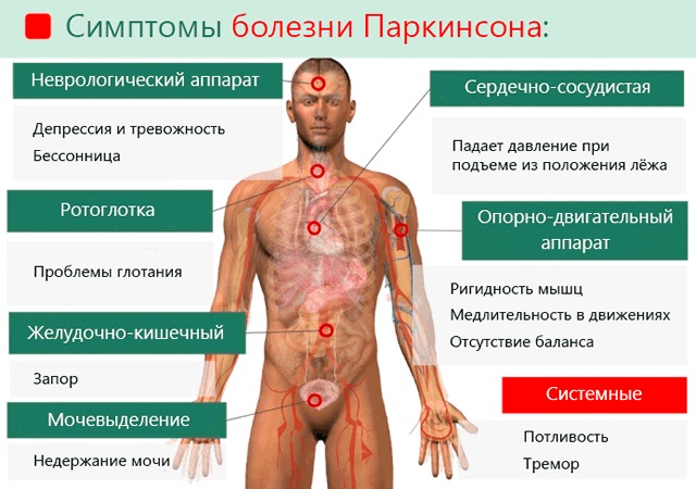 Внутренний тремор тела без видимой дрожи. Причины при расслаблении, диабете, ВСД, лечение