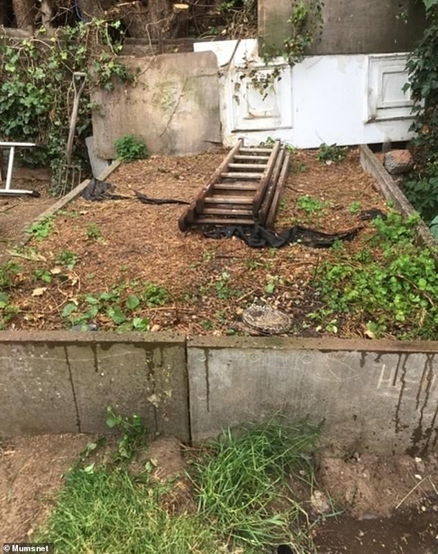Grave? A homeowner has revealed how they assumed a raised area of their new garden was a flowerbed, until they made an eerie discovery - and realised the sun never shone on it