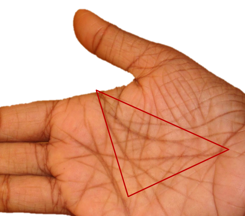 Треугольник снизу. Треугольник на ладони. Треугольник на линии жизни. Ладошки в треугольнике. Мистический треугольник на ладони.