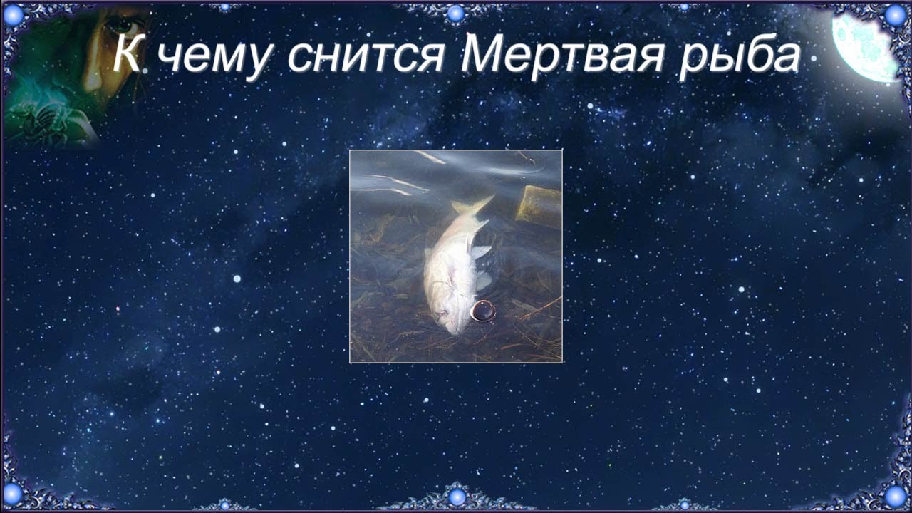 Видеть во сне рыба ест рыбу