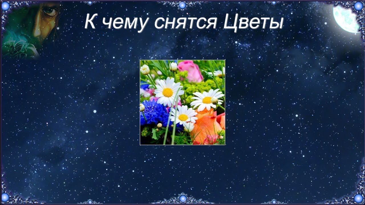 К чему снятся цветы. Толкование снов цветок. Сонник к чему снятся цветы. Если снится цветок это что.