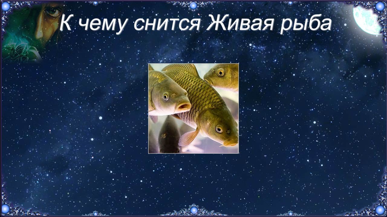 Видеть во сне рыба ест рыбу