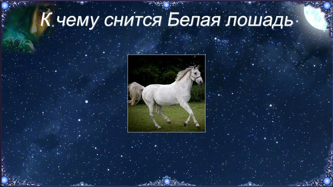 К чему снится видеть лошадь