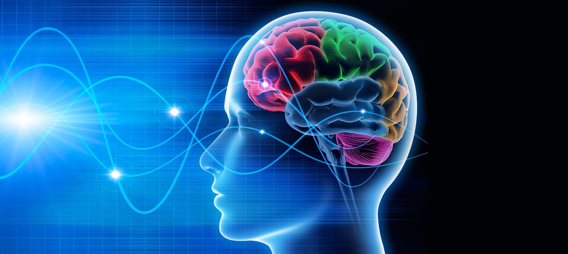 Повышенный уровень памяти. Мозговая деятельность. Память в головном мозге. Активный мозг. Мозговая активность.