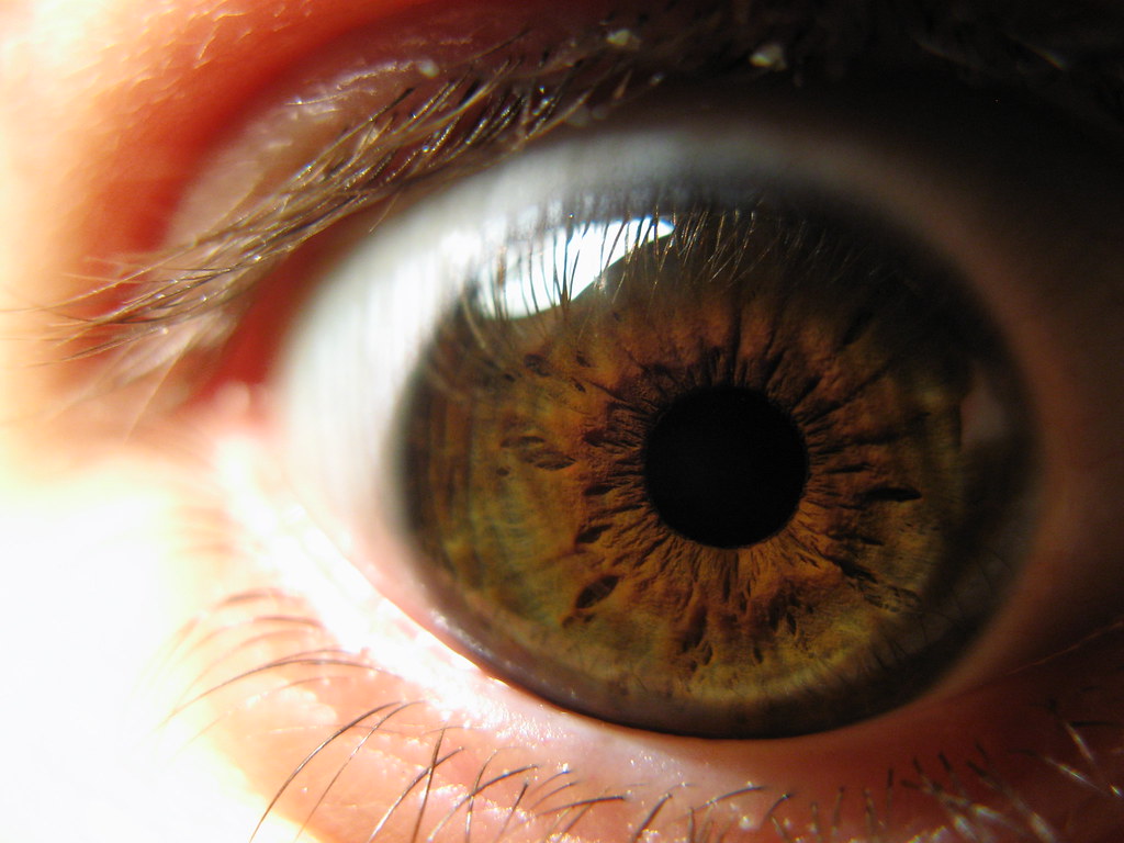 Зеленая радужка глаза. Зелено карие глаза. Радужка глаза. Каре-зеленые глаза. Радужка карих глаз.