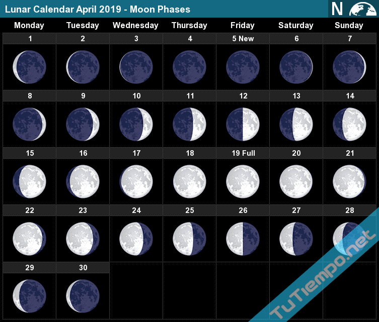 Луна апрель май. Фазы Луны. Лунный календарь Луна. Какая сегодня Луна. Лунный календарь полнолуние.