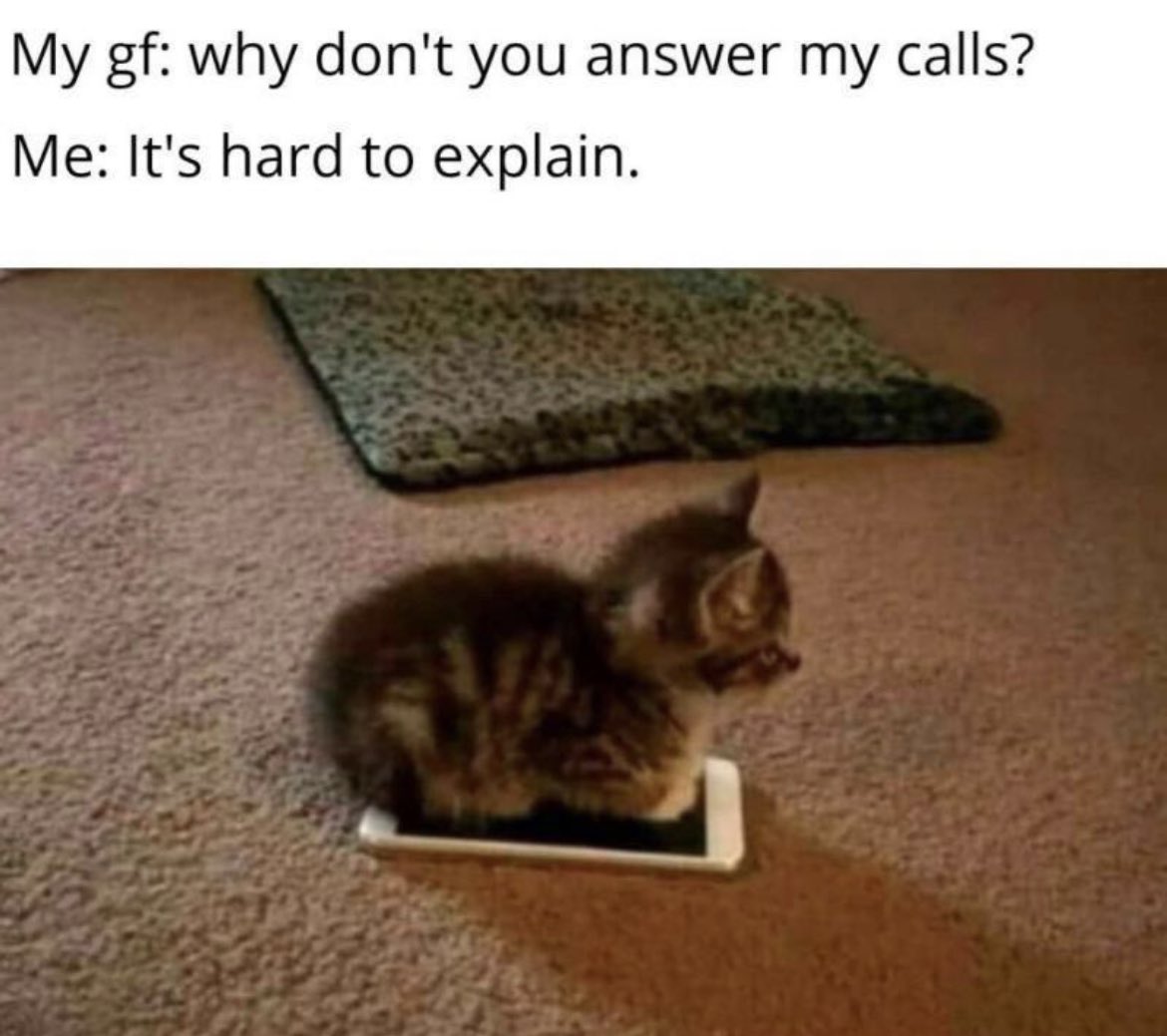 Почему не звонит первым. No talk me. Don't tell me i'm Angry Cat.