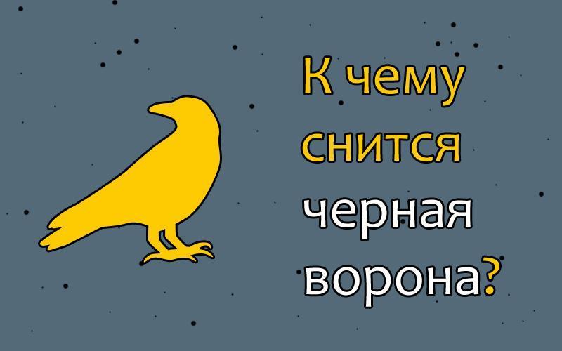 К чему снится ворон. Ворона снюсь. К чему снится черный ворон. К чему снится ворона черная.