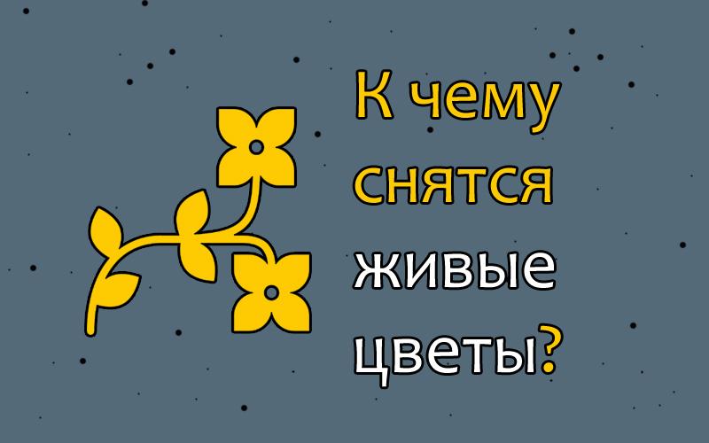 К чему снятся цветы. К чему снятся цветы живые. Во сне видеть живые цветы к чему. К чем снятся живые цветы.