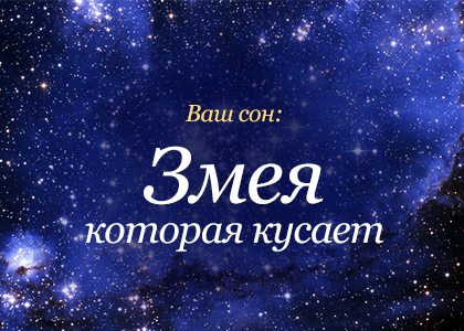 Кусают во сне сонник. К чему снится сон что тебя во сне кусает змея. Сонник-толкование снов змея кусает ребенка. Сонник-толкование снов кот со змеёй. Сонник что означает змея во сне укусила за руку.