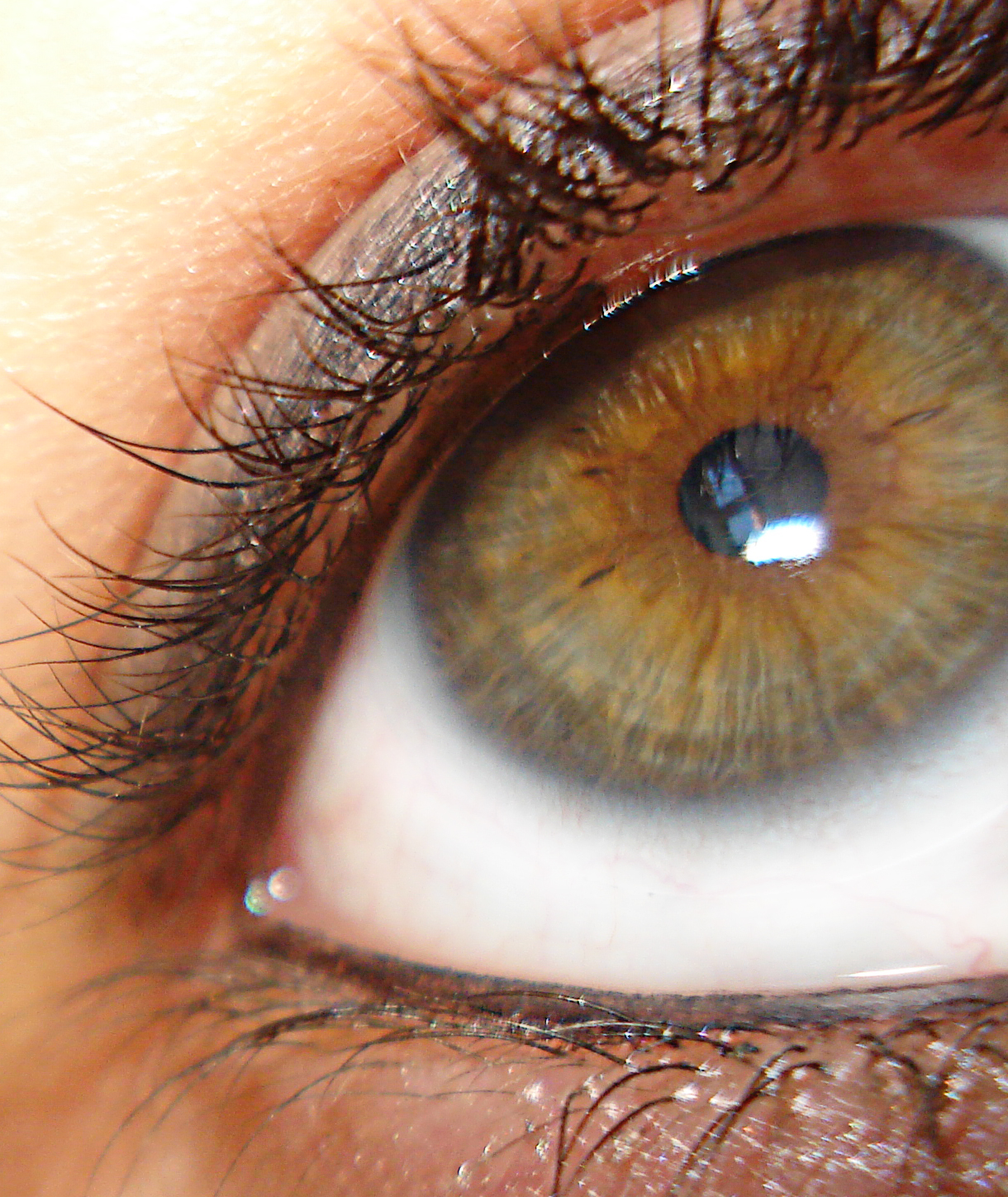 Почему глаза стали голубые. Болотный цвет глаз гетерохромия. Центральная гетерохромия хамелеон. Серо-каре-зеленые глаза. Ореховые глаза.