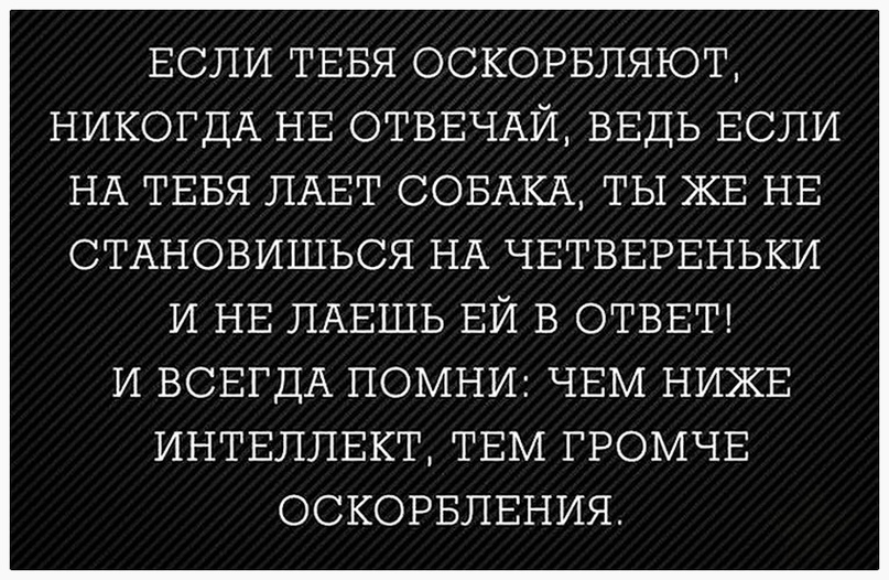 Всегда обижают. Если тебя оскорбляют никогда не отвечай. Человек который оскорбляет других. Цитаты про оскорбления и унижения женщин. Когда человек оскорбляет.