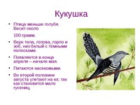 План рассказа кукушка