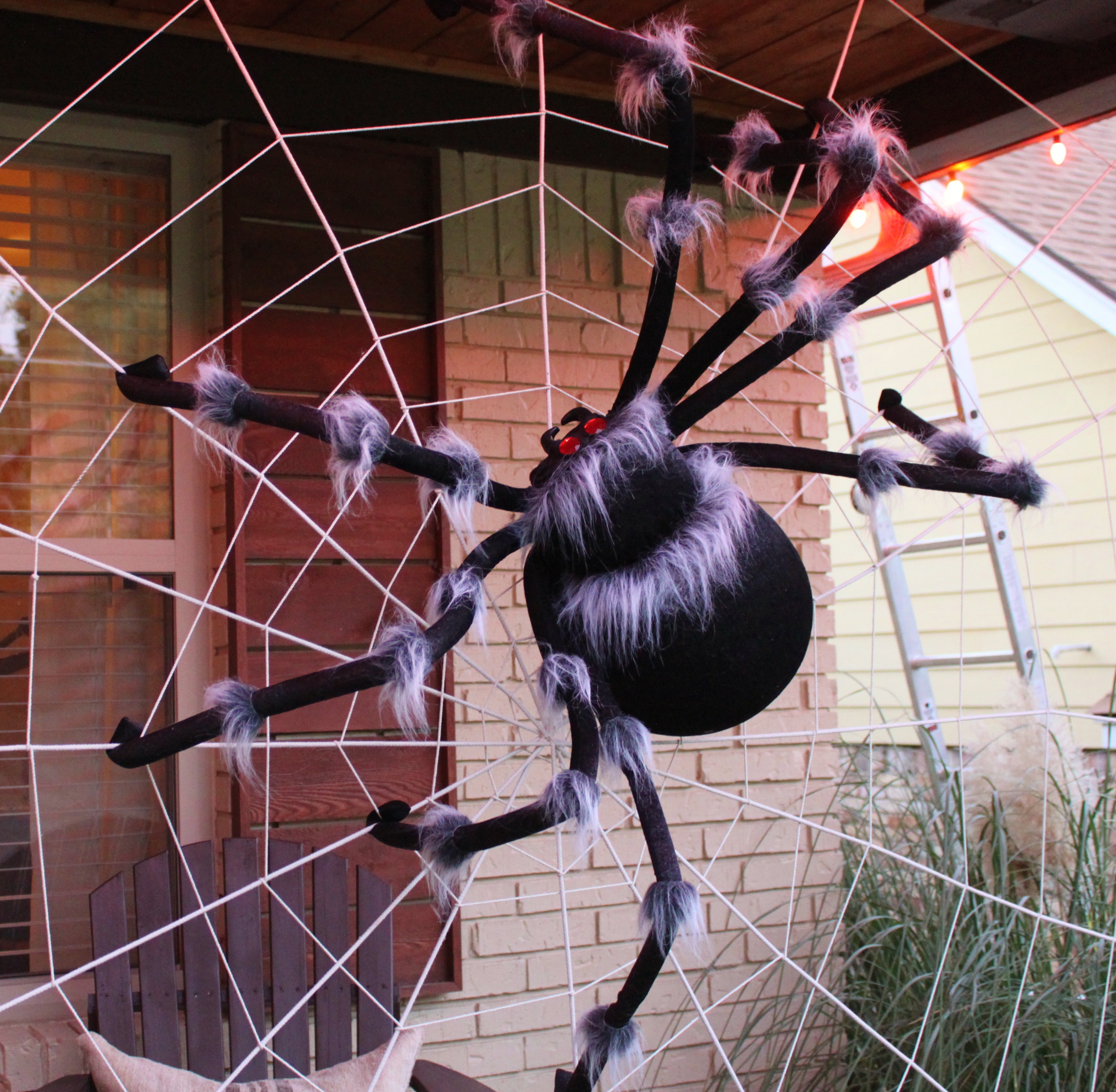 Паук кошмар. Огромный паук. Самый гигантский паук. Гигантский паук в паутине. Необычные пауки.