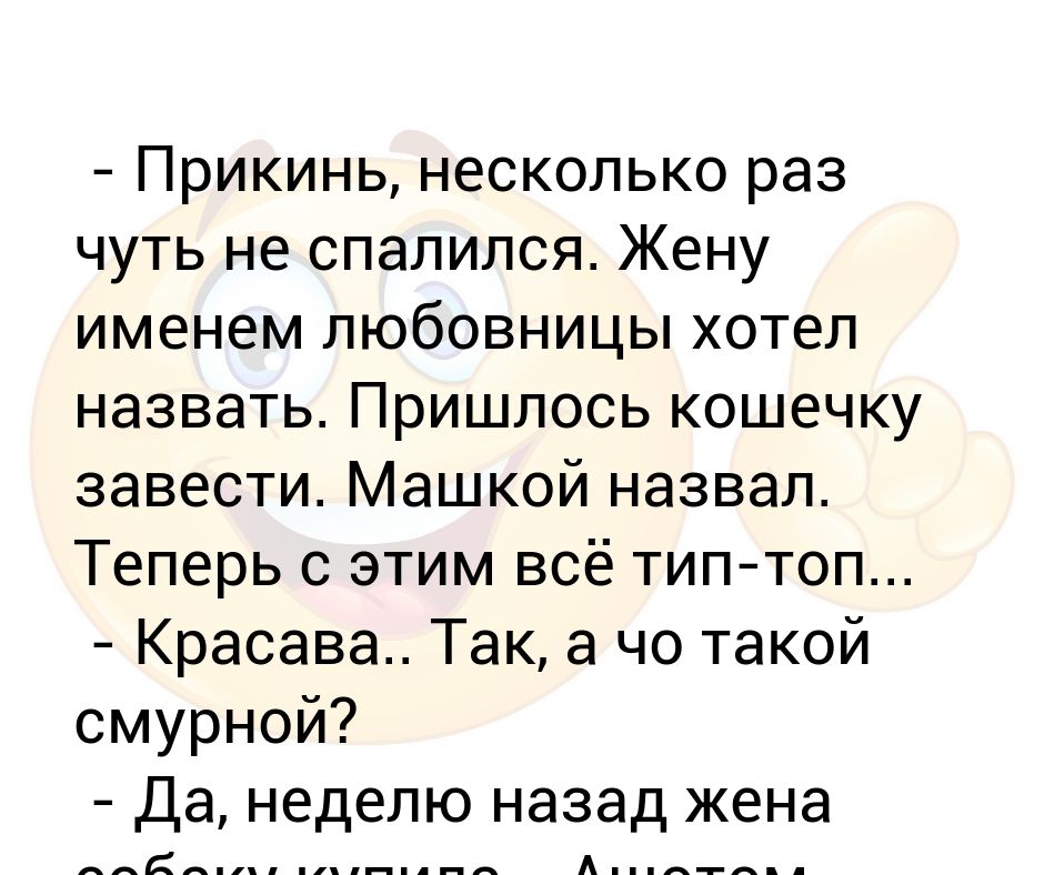 Завел кошку назвал Машкой. Анекдот зовёт собаку назвал именем лбловницы. Человека заведём Машкой назовём. Анекдот про то как кошку называл Машкой.