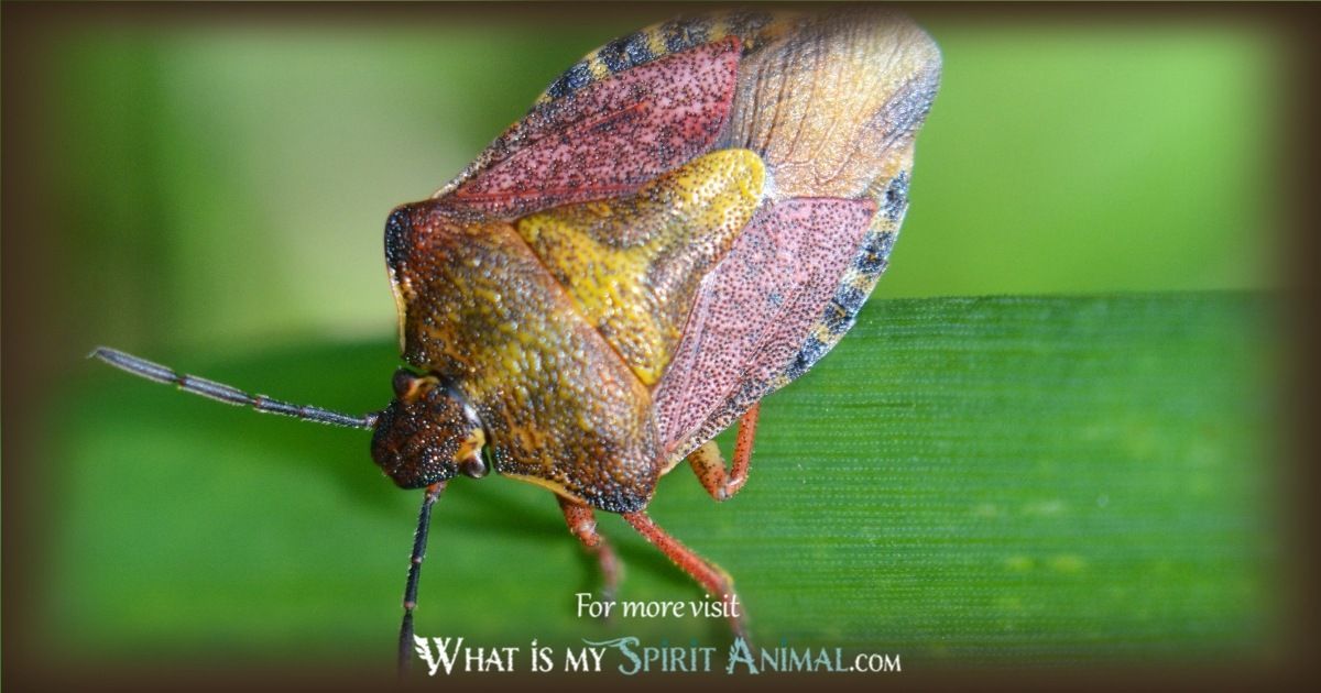 scarab beetle spirit animal 1200x630
