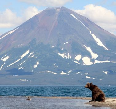 Путешествие по Камчатке. Край вулканов и медведей.